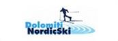 nordic-ski