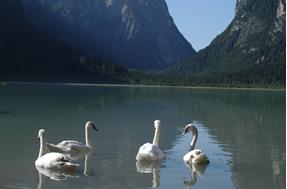 Lago di Dobbiaco and Dobbiaco water treasures