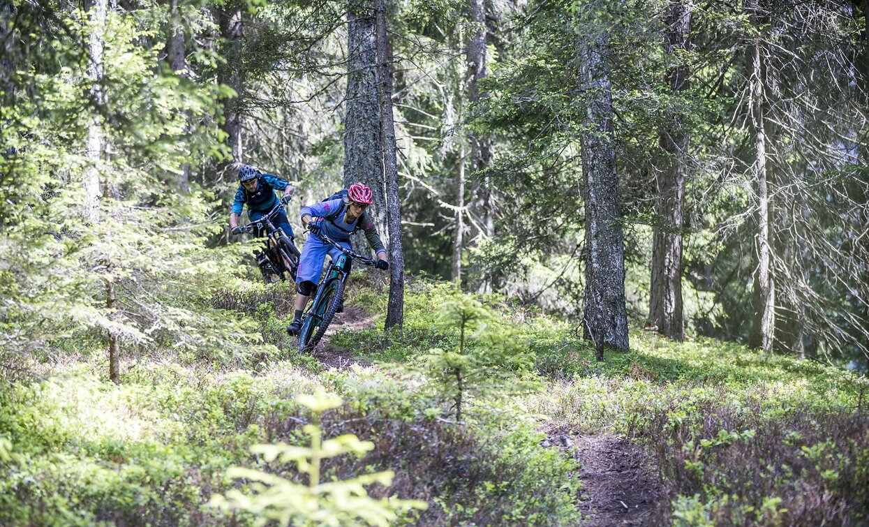MTB | © © DreiZinnenMarketing/RockyMountain/M.Greber, Toblach MTB | © © DreiZinnenMarketing/RockyMountain/M.Greber, Toblach