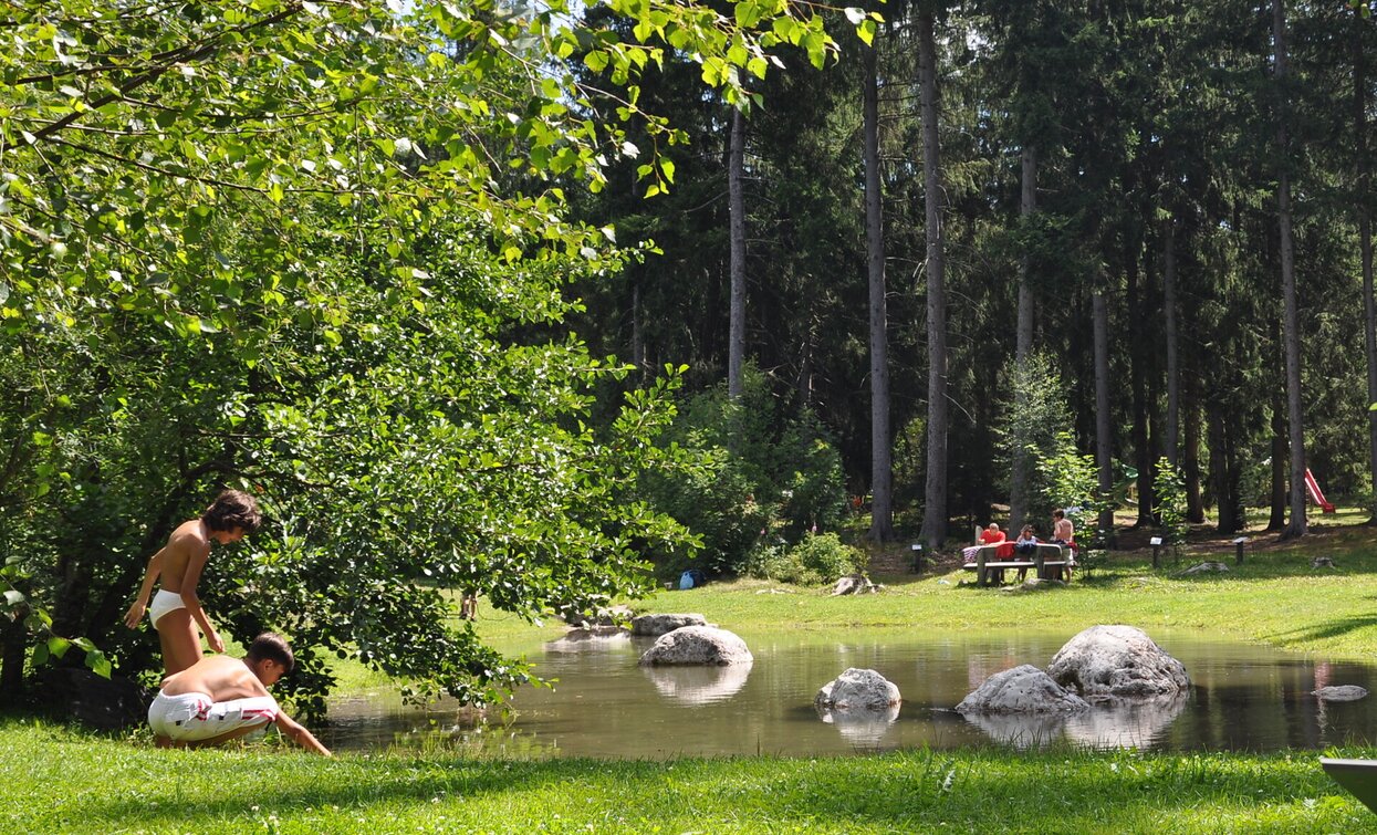 Toblach - Gratsch - Grieswaldile | © © TvToblach, Toblach Toblach - Gratsch - Grieswaldile | © © TvToblach, Toblach