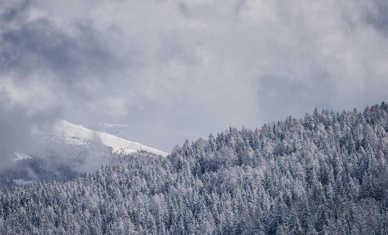 Toblach | © © TvToblach/H.Wisthaler, Toblach Toblach | © © TvToblach/H.Wisthaler, Toblach