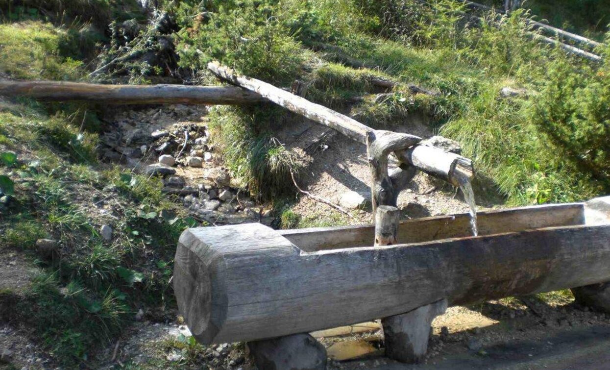 Drauquelle | © © TvToblach, Toblach Drauquelle | © © TvToblach, Toblach