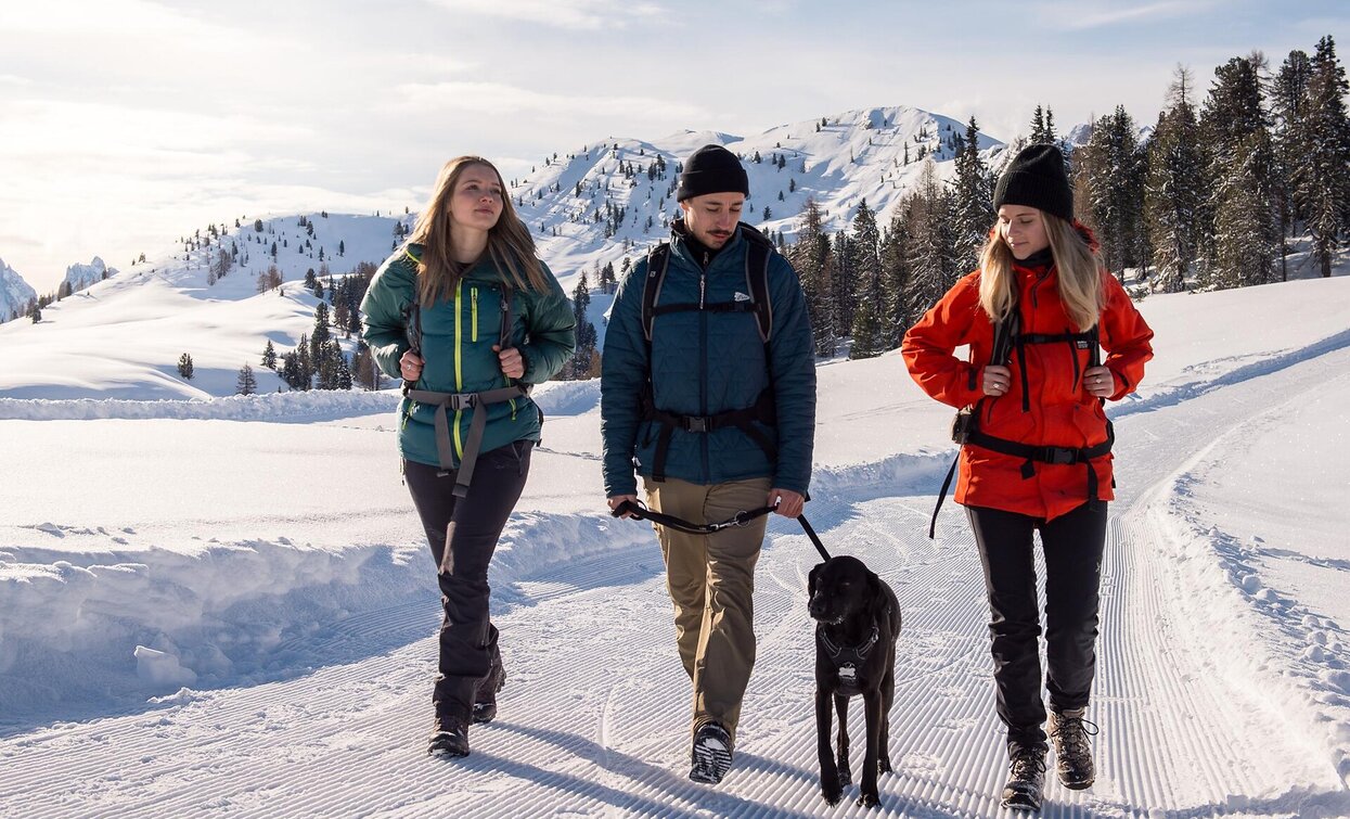Dürrensteinhütte | © Auer Lukas, Prags Dürrensteinhütte | © Auer Lukas, Prags
