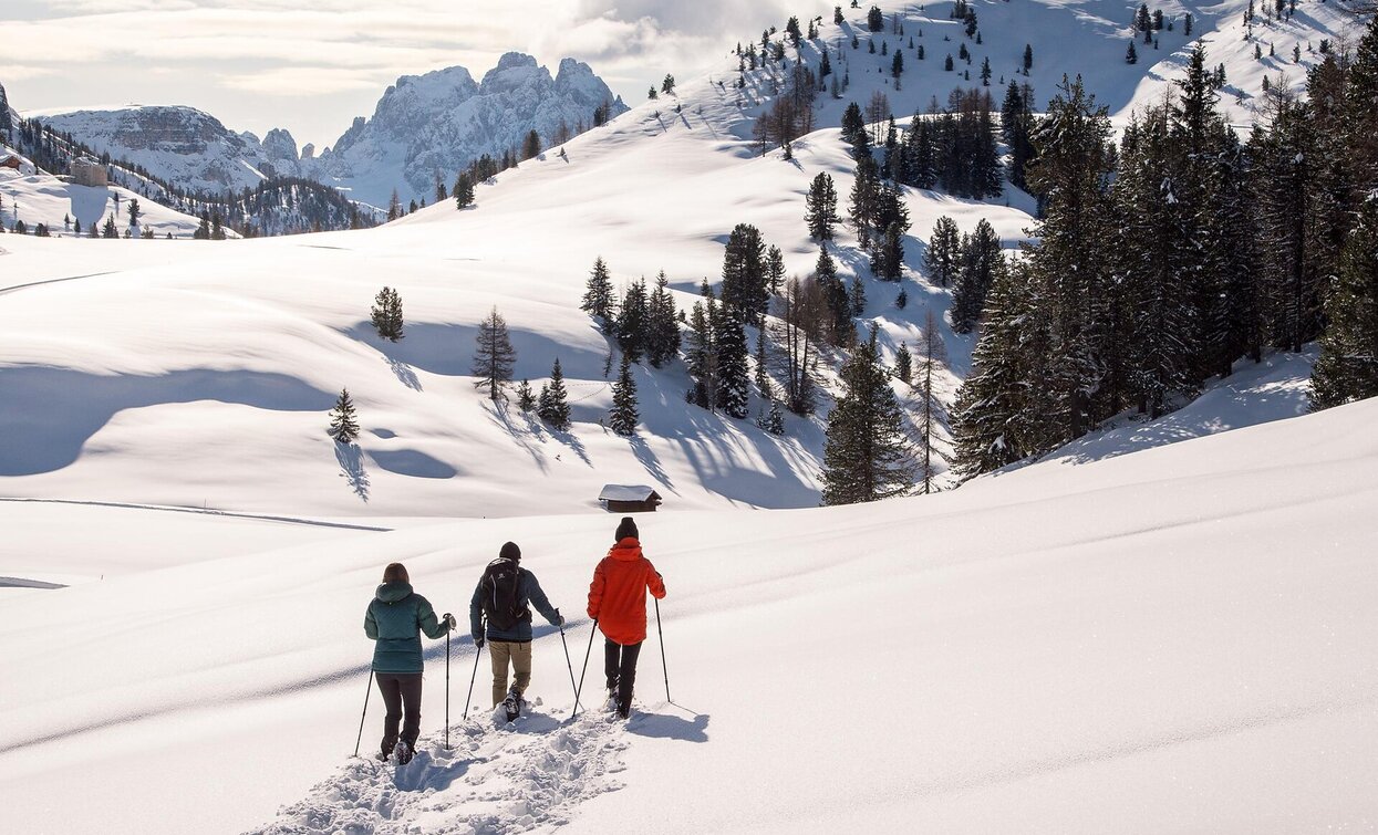 Plätzwiese | © Auer Lukas, Prags Plätzwiese | © Auer Lukas, Prags