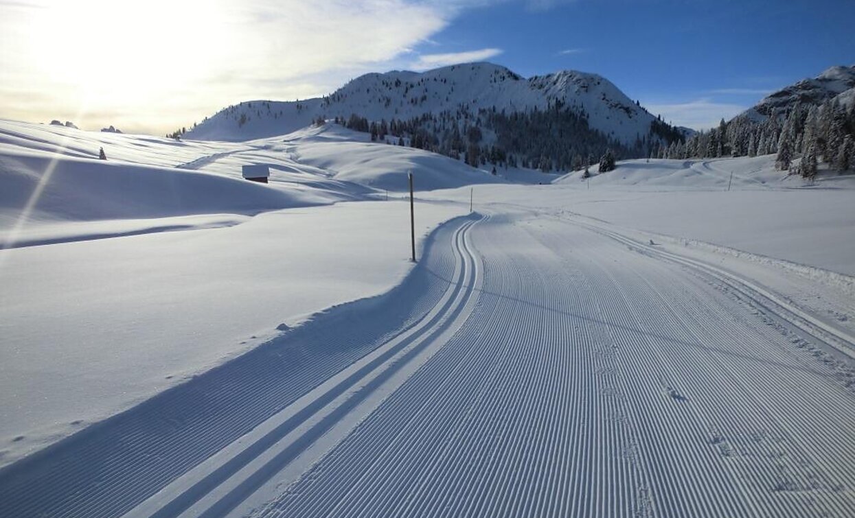 Loipe | © Tourismusverband Hochpustertal, Prags Loipe | © Tourismusverband Hochpustertal, Prags