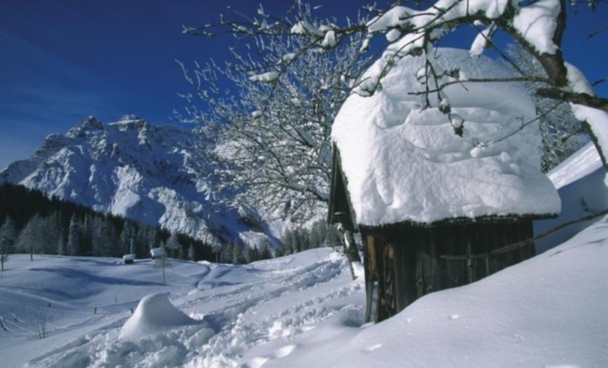 Winterwandern | © Tourismusverein Innichen, Innichen Winterwandern | © Tourismusverein Innichen, Innichen