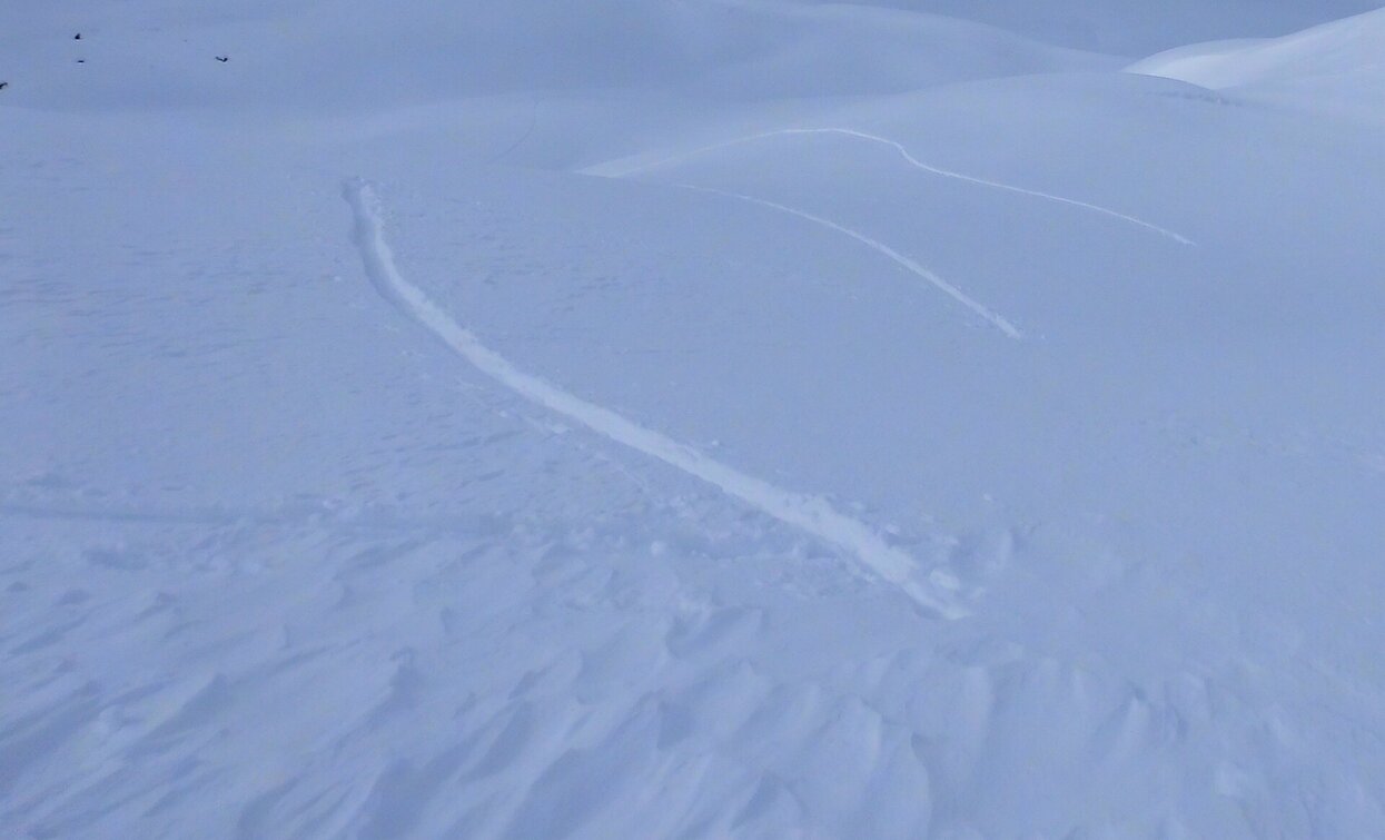 Strudelkopf | © © TvToblach, Toblach Strudelkopf | © © TvToblach, Toblach