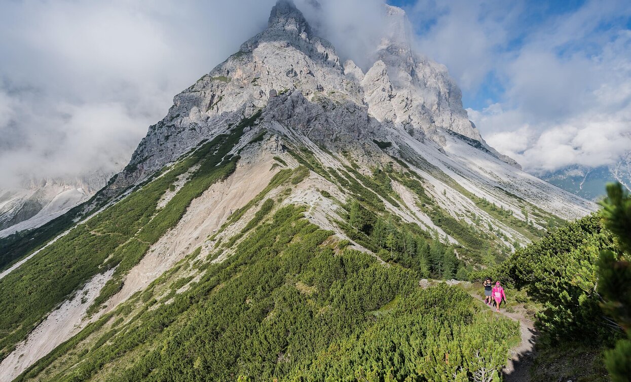 Gsellwiesen | © Harald Wisthaler, Sexten Gsellwiesen | © Harald Wisthaler, Sexten
