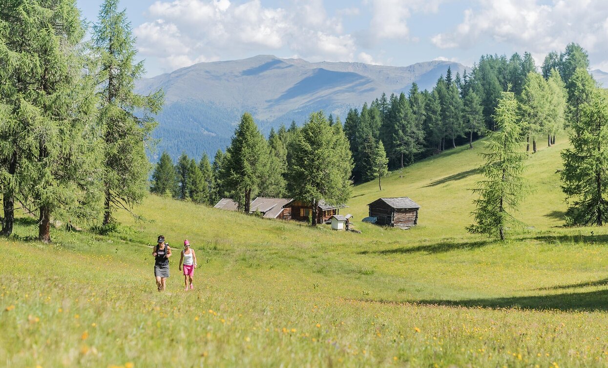 Gsellwiesen | © Harald Wisthaler, Sexten Gsellwiesen | © Harald Wisthaler, Sexten