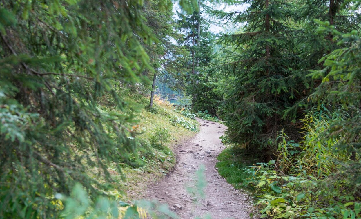 Schwarzberg | © Kotter Steger, Prags Schwarzberg | © Kotter Steger, Prags