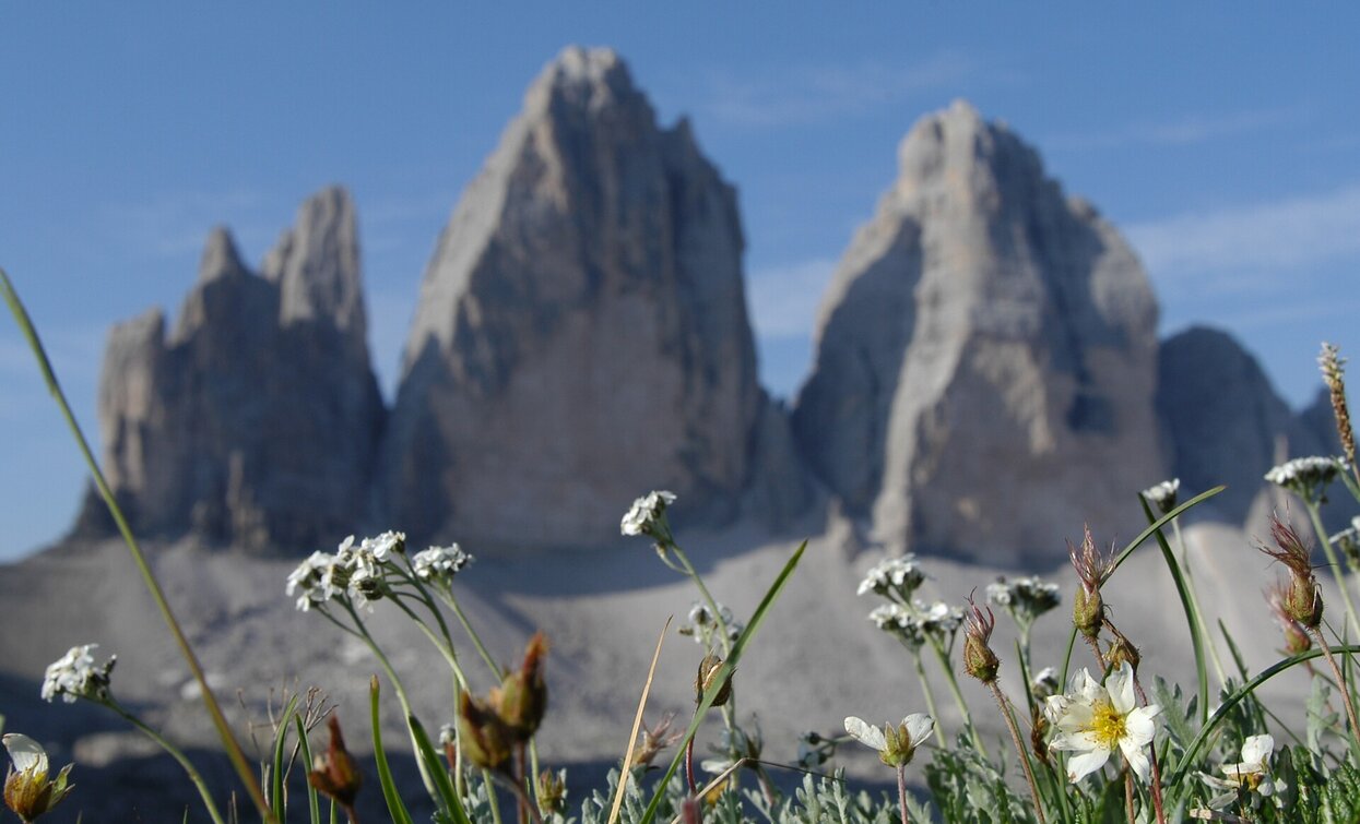 Drei Zinnen | © @TVToblach, Toblach Drei Zinnen | © @TVToblach, Toblach