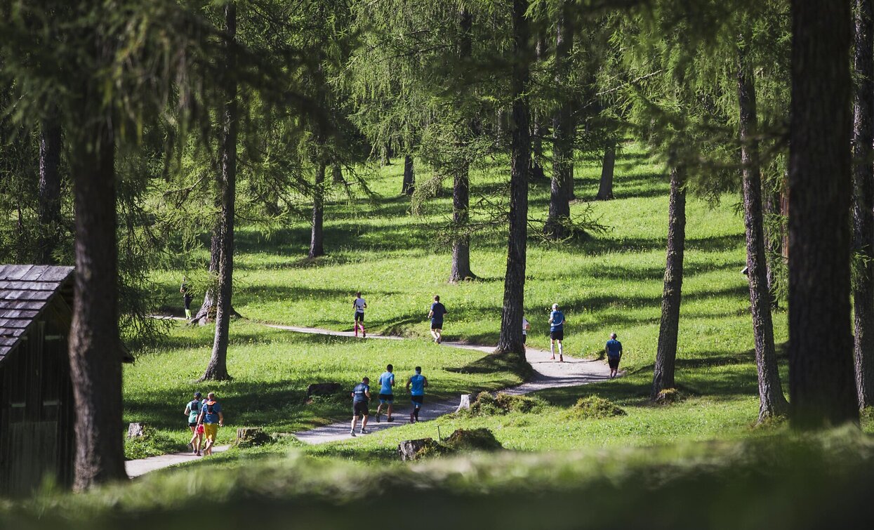 Trailrunning Fischleintal | © TV Sexten - Harald Wisthaler, Sexten Trailrunning Fischleintal | © TV Sexten - Harald Wisthaler, Sexten