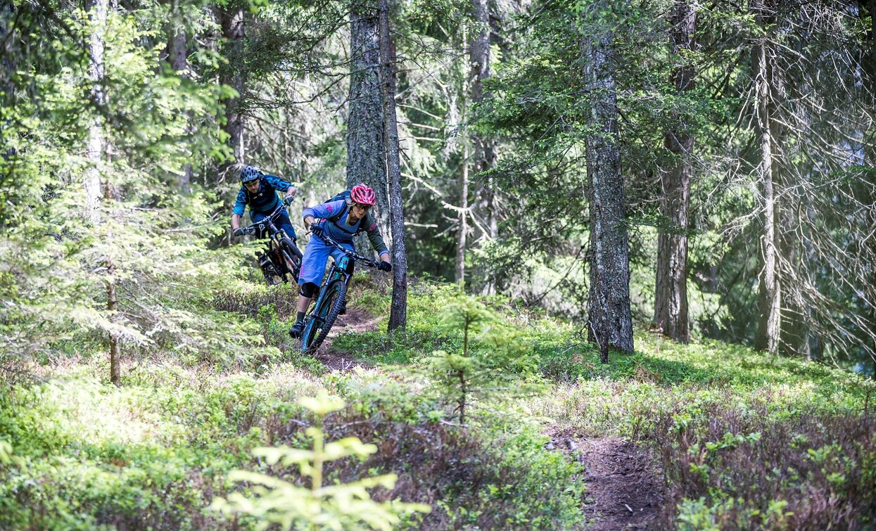 MTB Technik Parcours Signaue | © Rocky_Mountain_Markus_Gerber_, Sexten MTB Technik Parcours Signaue | © Rocky_Mountain_Markus_Gerber_, Sexten