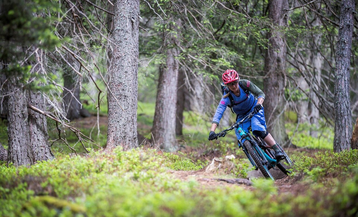 MTB Technik Parcours Signaue | © Rocky_Mountain_Markus_Gerber_, Sexten MTB Technik Parcours Signaue | © Rocky_Mountain_Markus_Gerber_, Sexten