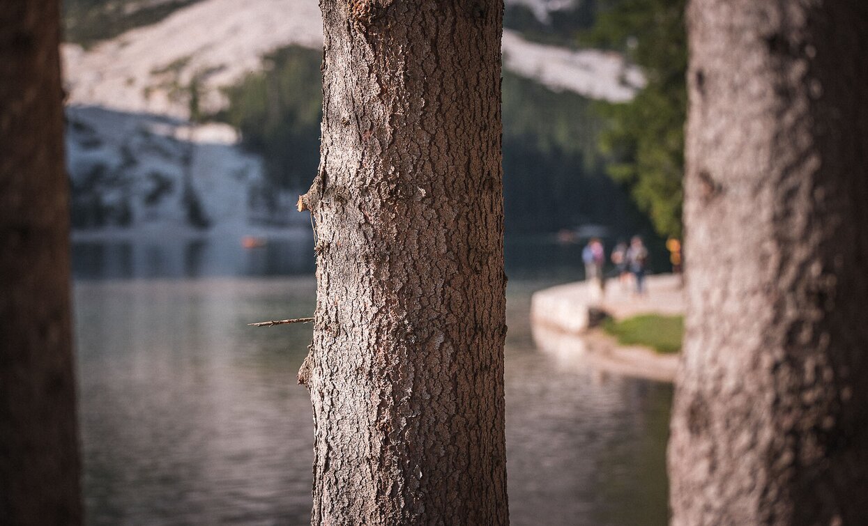 Pragser Wildsee - Niederdorf | © Kotter Steger, Prags Pragser Wildsee - Niederdorf | © Kotter Steger, Prags