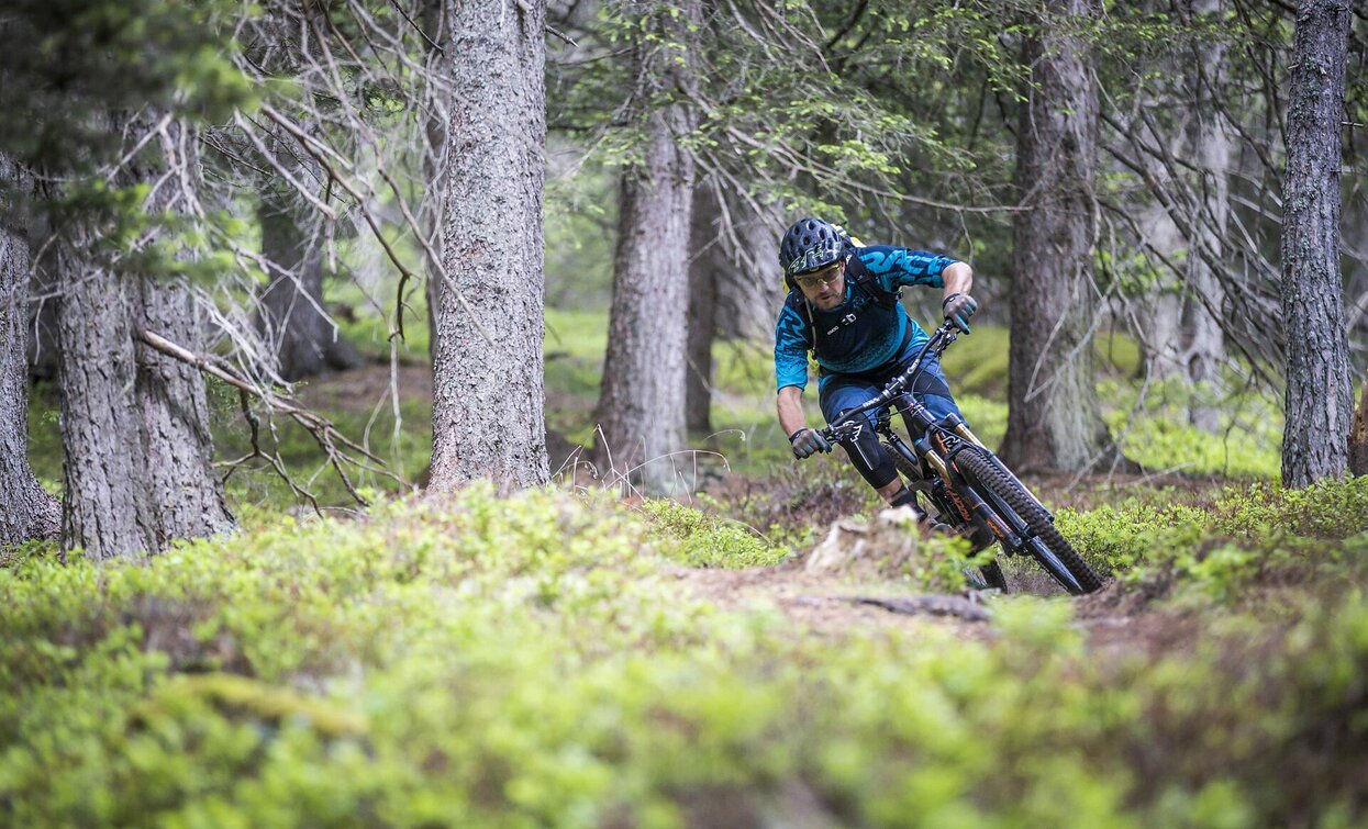 Bike | © Harald Wisthaler, Sexten Bike | © Harald Wisthaler, Sexten