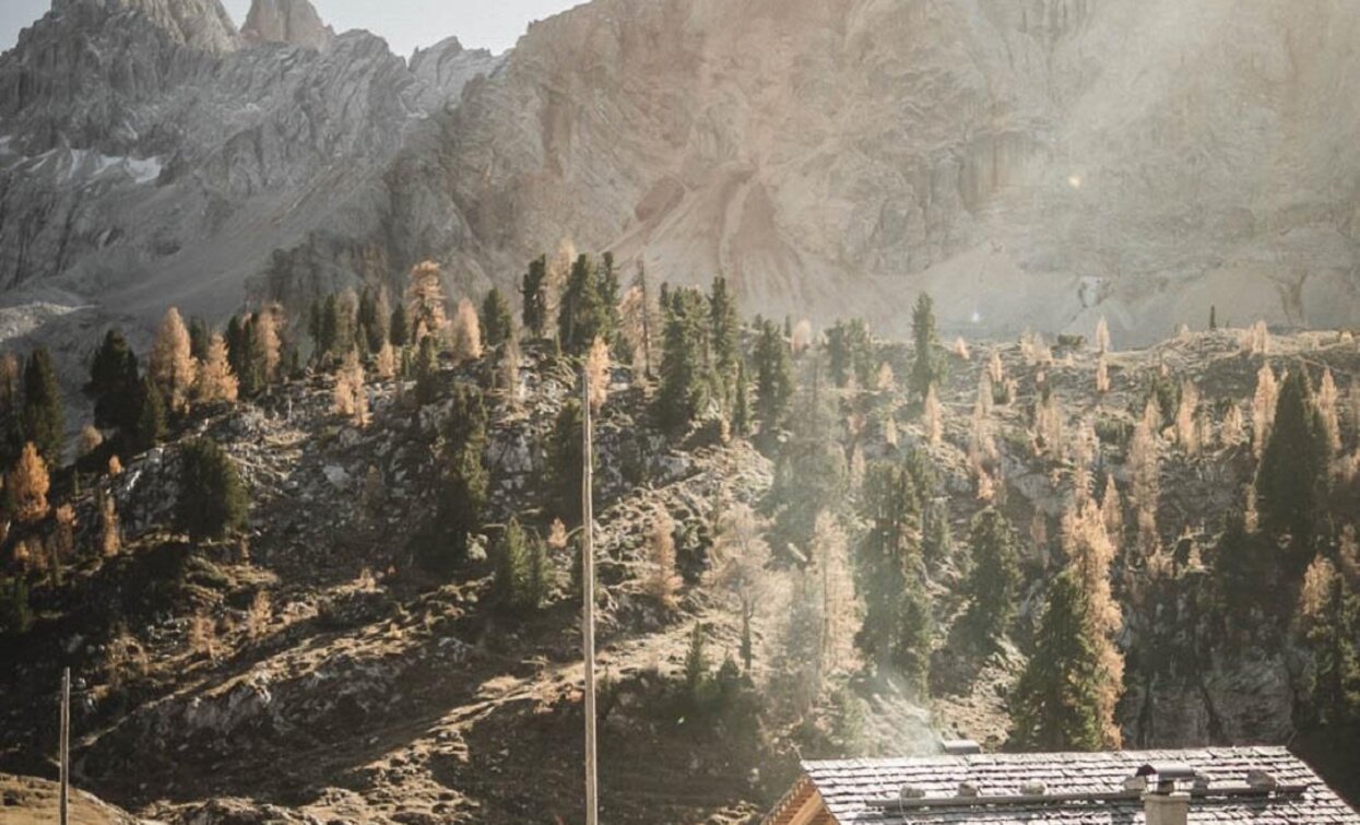 Rossalm | © Manuel Kottersteger, Prags Rossalm | © Manuel Kottersteger, Prags