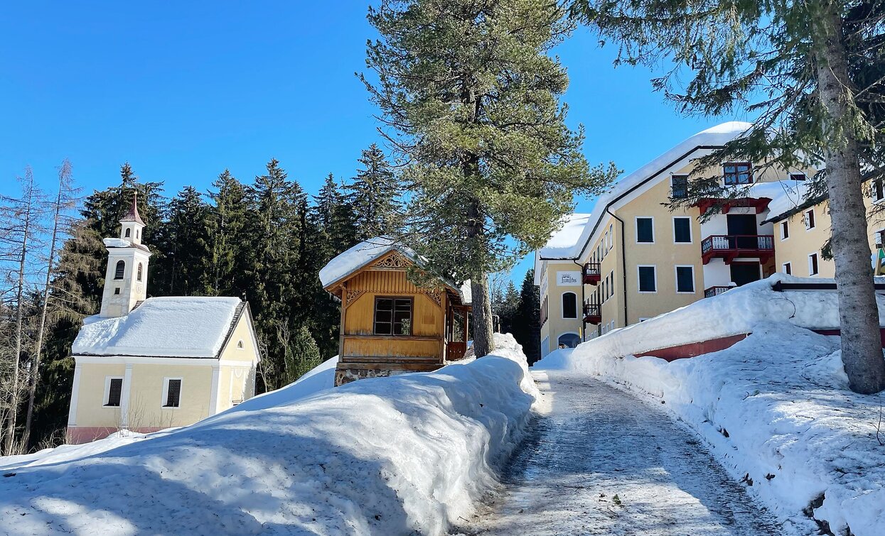 Winterwandern | © TV Niederdorf, Niederdorf Winterwandern | © TV Niederdorf, Niederdorf