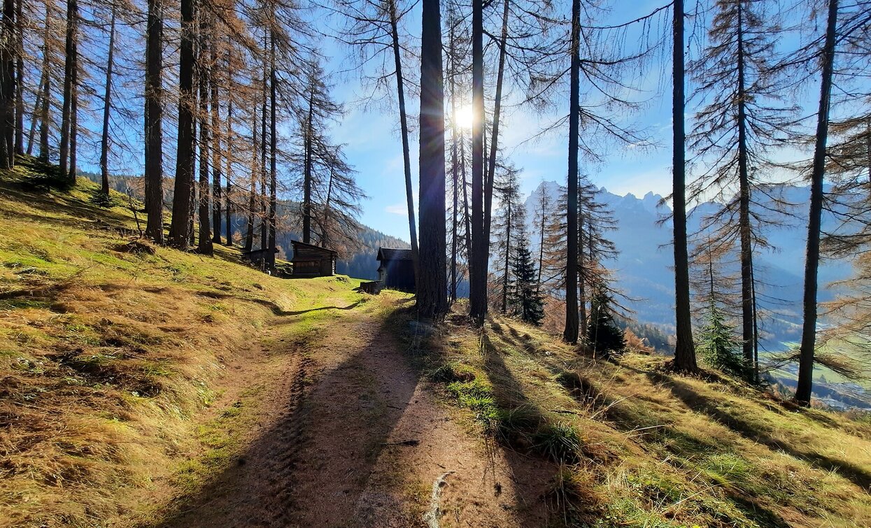 Weg zur Lärchenhütte | © © Tourismusverein Sexten, Sexten Weg zur Lärchenhütte | © © Tourismusverein Sexten, Sexten