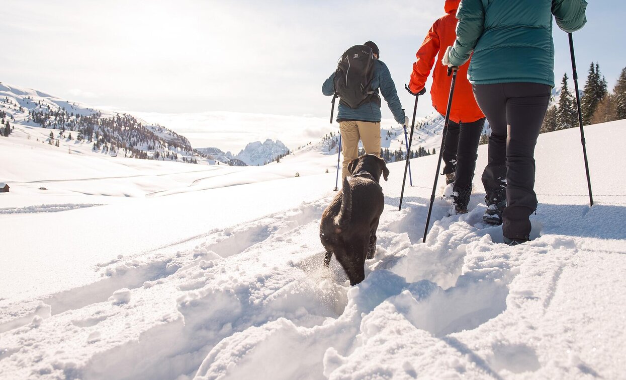 Plätzwiese - Strudelkopf | © Prags Plätzwiese - Strudelkopf | © Prags