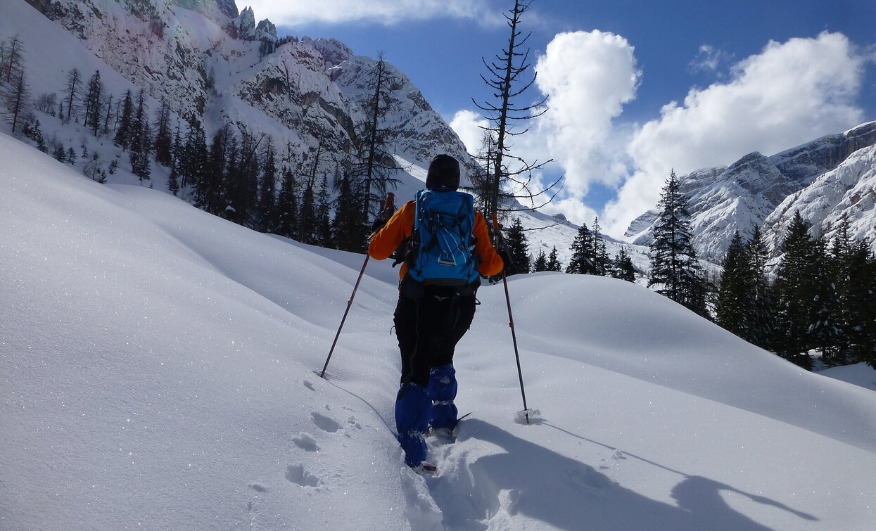 Schneeschuhwanderung im Innerfeldtal | © Innichen Schneeschuhwanderung im Innerfeldtal | © Innichen