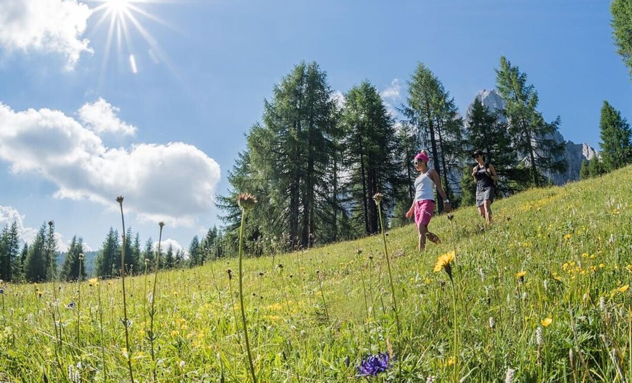 Wandern mit Kinderwagen | © Sexten Wandern mit Kinderwagen | © Sexten