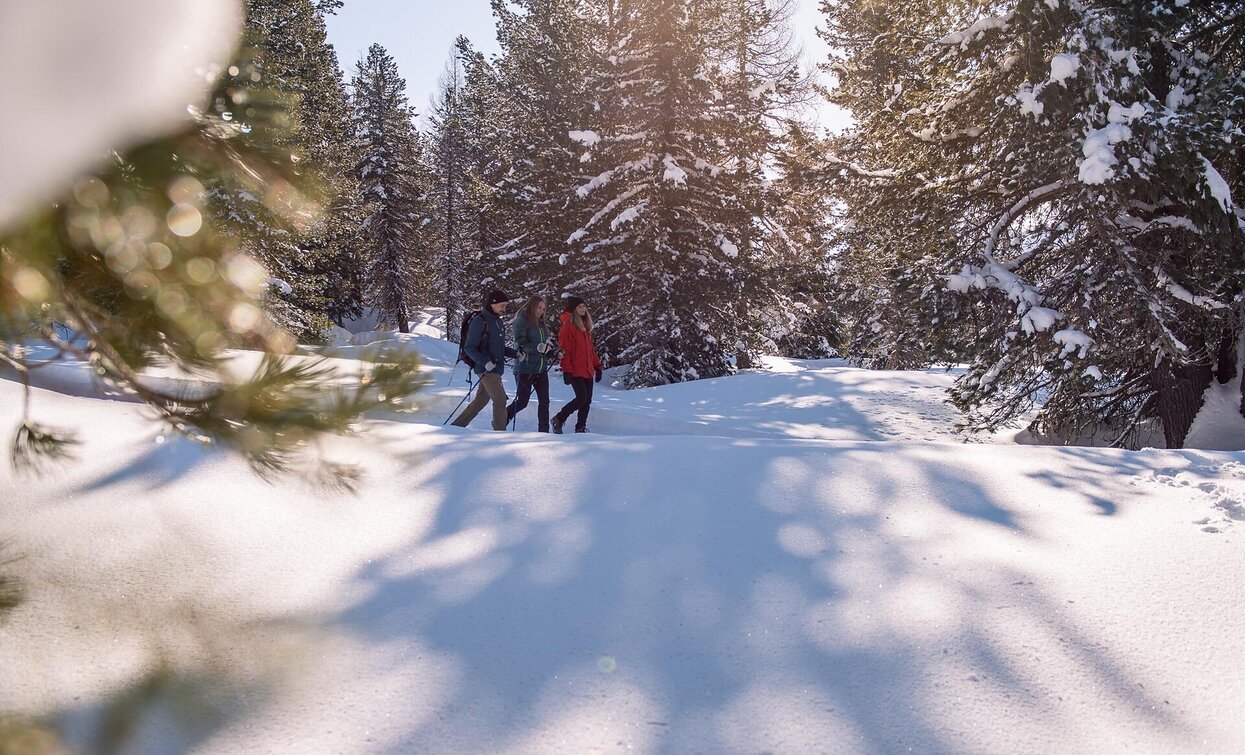 Lärcha Niederdorf | © Prags Lärcha Niederdorf | © Prags