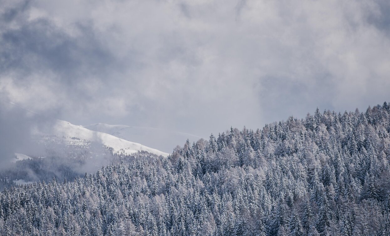 Toblach | © Toblach Toblach | © Toblach
