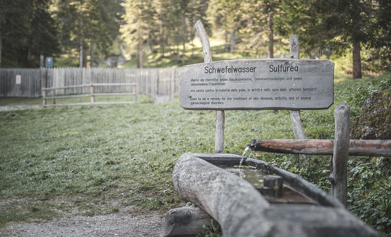 © Kottersteger © Kottersteger